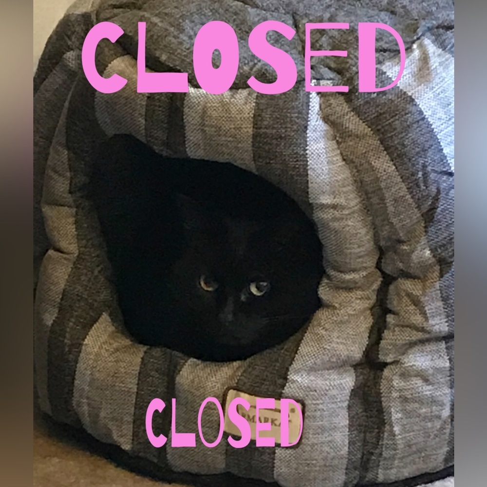 CLOSED tues is up! Pillows pick 5 - Picture 1 of 2